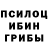 Псилоцибиновые грибы мухоморы Baha Nunboy