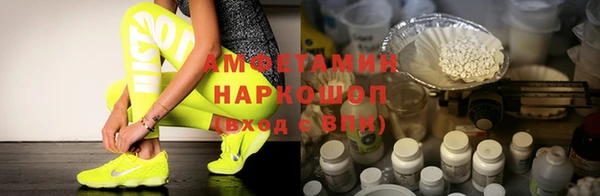 молекула духа Алексеевка