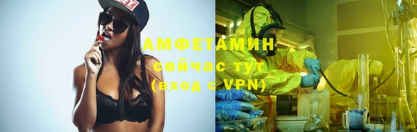 молекула духа Алексеевка