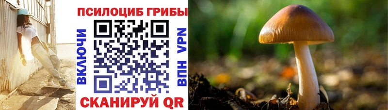 Псилоцибиновые грибы Magic Shrooms  Березники 