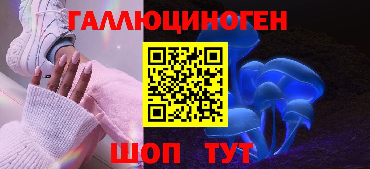 Галлюциногенные грибы Cubensis Березники